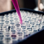 Investigadores trabajando en un laboratorio de biotecnología con equipamiento científico.