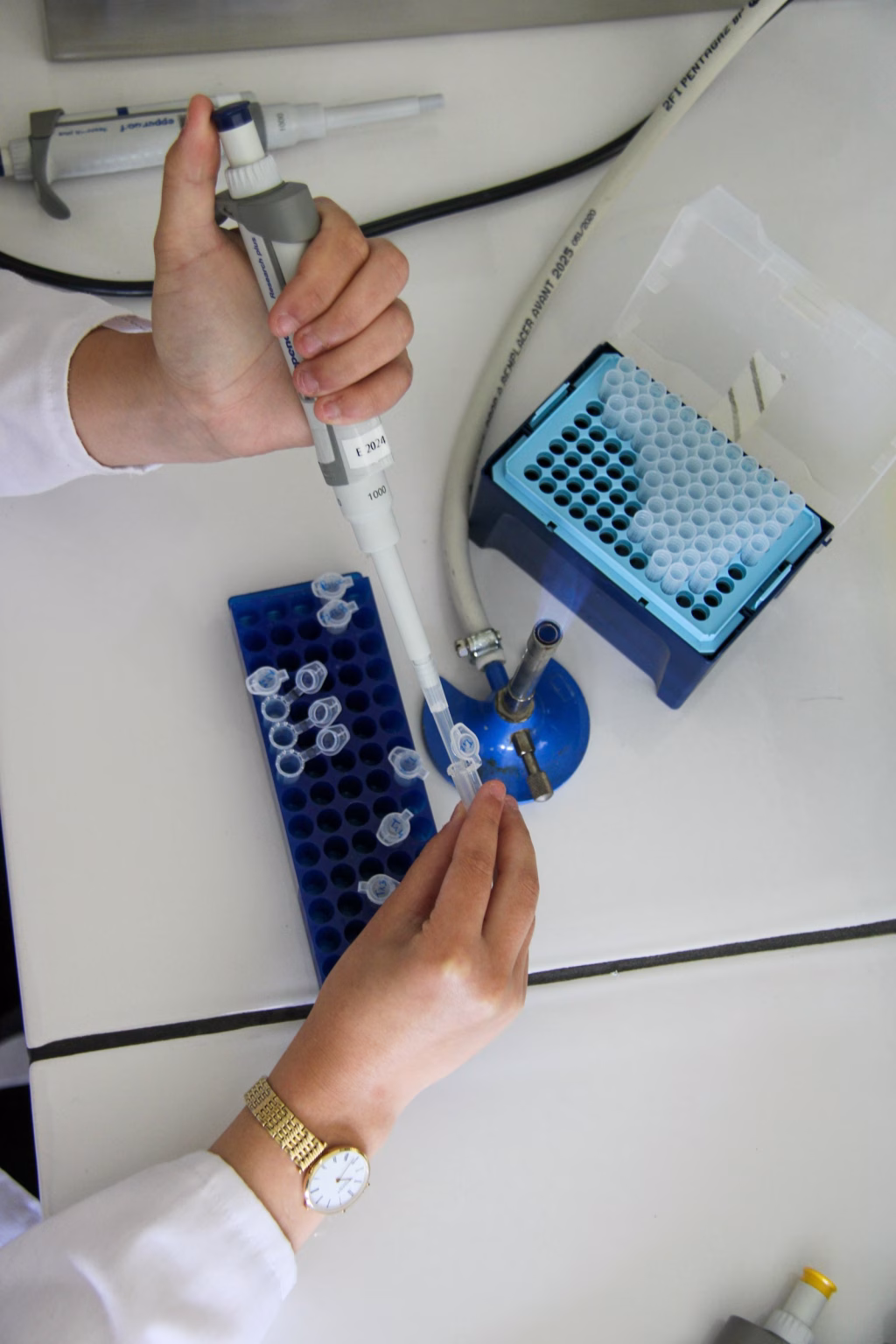 Científico usando una pipeta en un laboratorio de biotecnología
