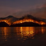 Incendio forestal con humo en una zona arbolada