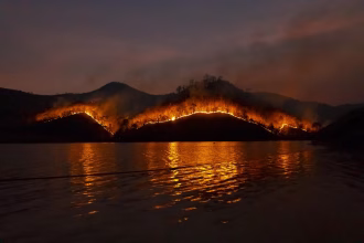 Incendio forestal con humo en una zona arbolada