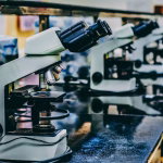 Ingredientes vegetales y material de laboratorio asociados a biotecnología alimentaria e inteligencia artificial.