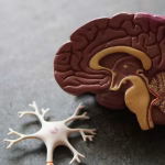 Persona consultando métricas de salud y sueño en un dispositivo conectado.