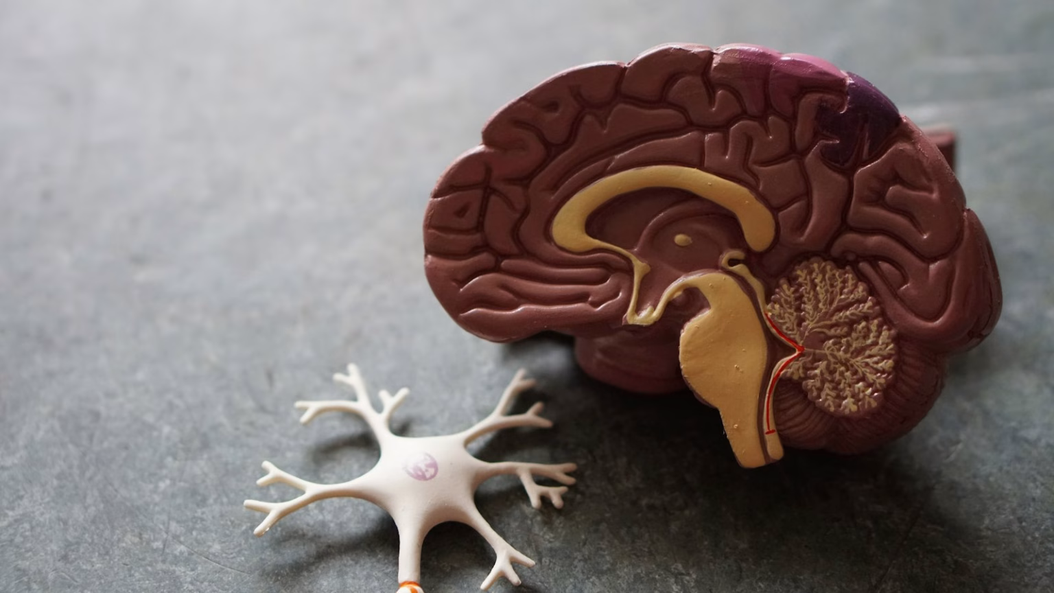Persona consultando métricas de salud y sueño en un dispositivo conectado.
