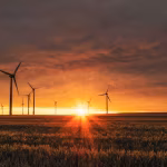Paneles solares para la gestión energética empresarial