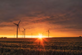 Paneles solares para la gestión energética empresarial
