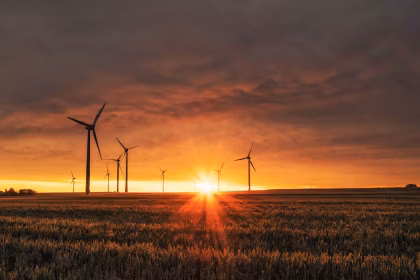 Paneles solares para la gestión energética empresarial